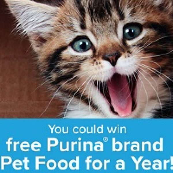 Win Purina Pet Food for a Year « Sweeps Invasion