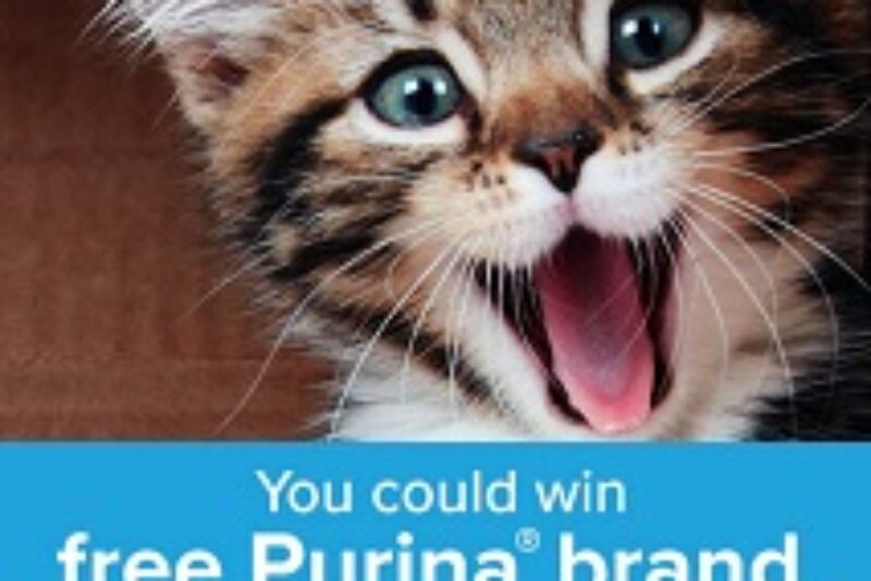 Win Purina Pet Food for a Year