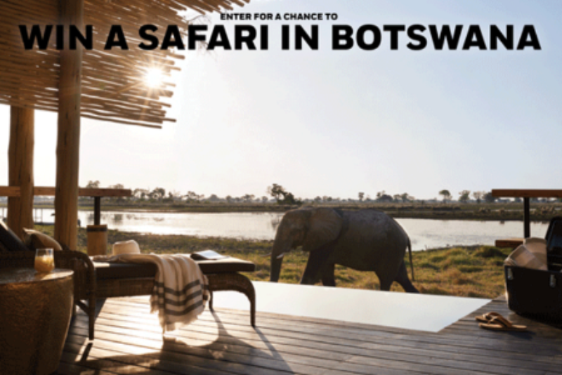 Win A Safari in Botswana