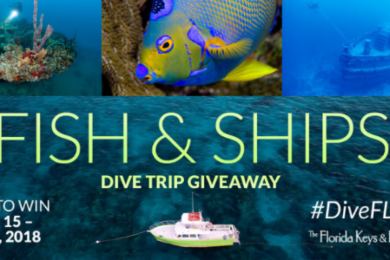 Win A Diving Vacation in Key West
