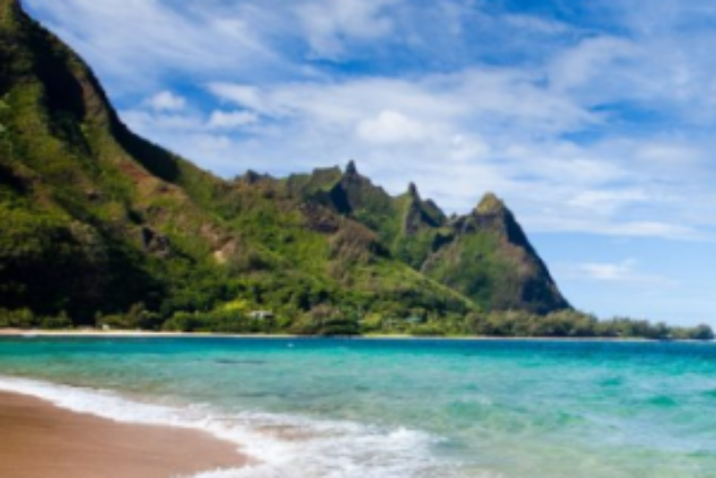 NYBG: Win a Trip to Hawaii