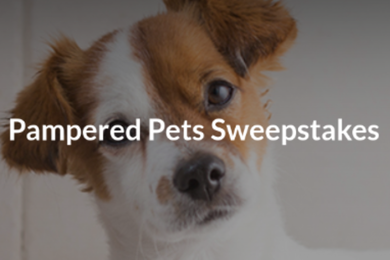 Win a Home Pet Spa