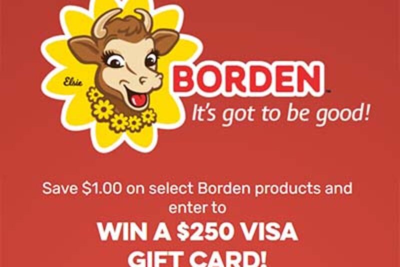 Win a $250 VISA Gift Card from Borden