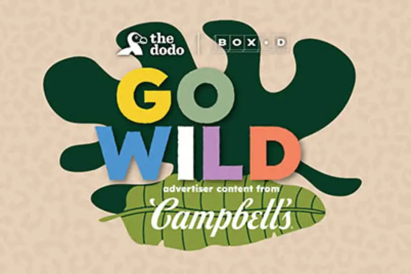 Win $5,000 from Campbell's & VOX