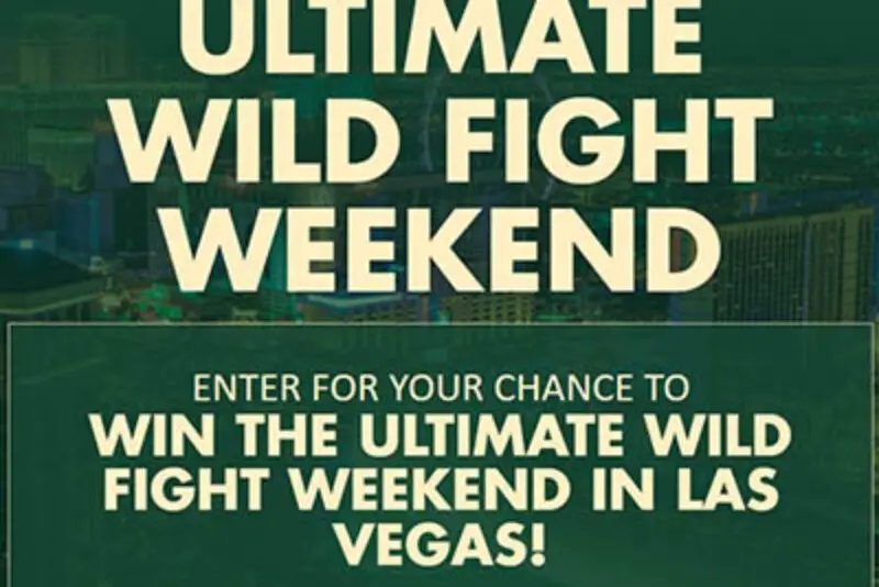 Win an MMA Weekend in Las Vegas