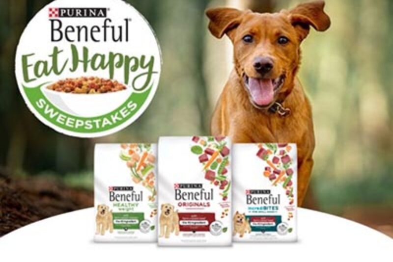 Win a Pet Friendly Trip from Beneful