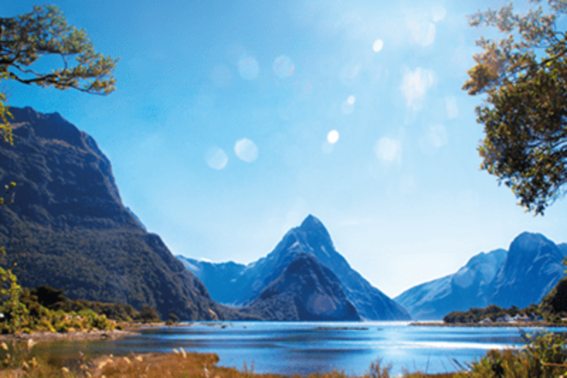 Win a Luxury Trip to New Zealand