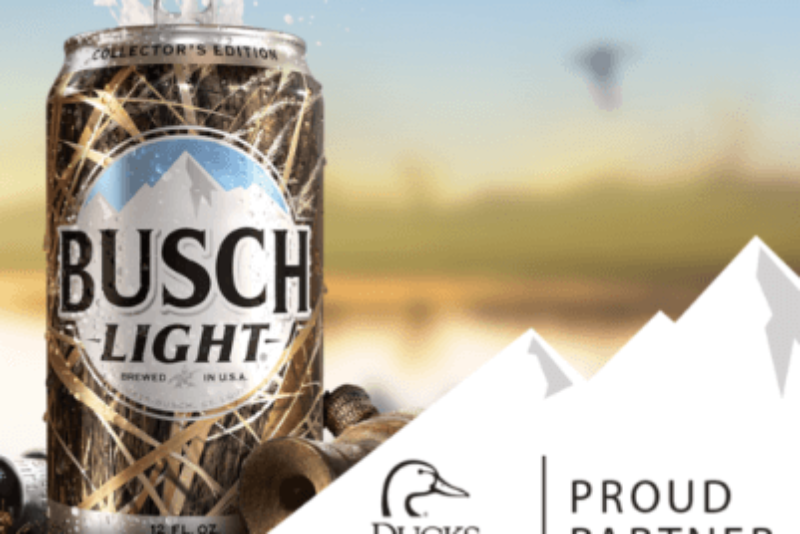 Win $500.00 cash from Anheuser-Busch Companies
